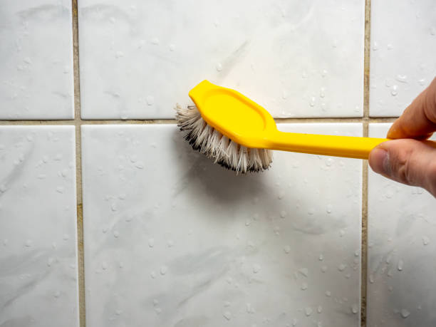 Best Residential Mold Remediation in Sanborn, NY