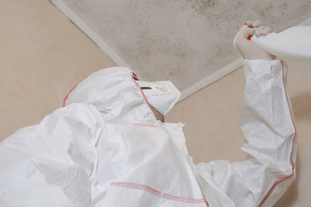 Best Residential Mold Remediation in Sanborn, NY