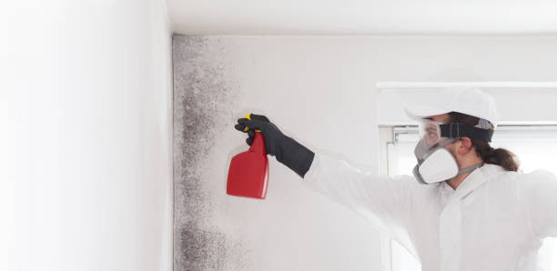 Best HVAC Mold Remediation in Sanborn, NY